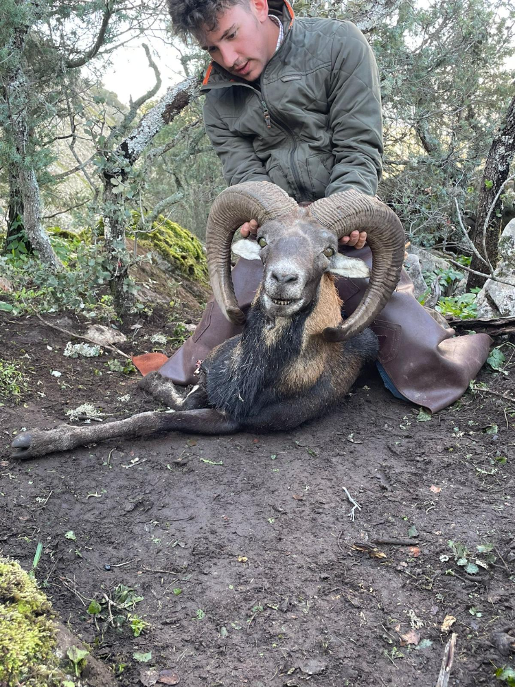 Montería en Badajoz, finca Enjugadero